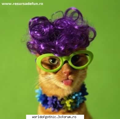 Funny screens - pana si animalele sunt modern imbracate acum in - Comicii