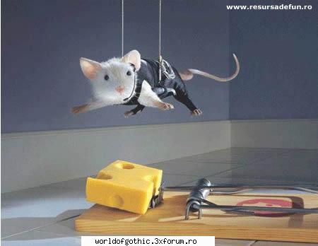 Funny screens - Lee - Comicii