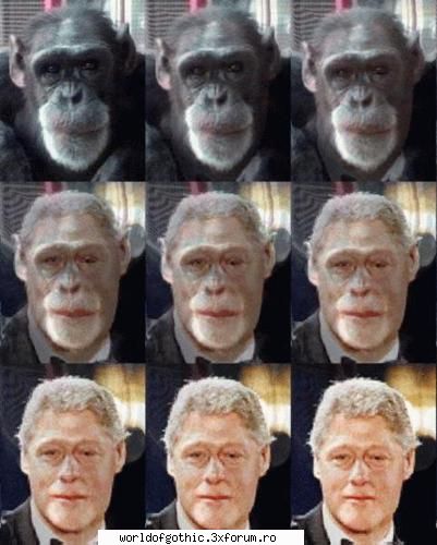 Photoshop Art - evolutia homo sapien americanus este ceva - Off-Topic