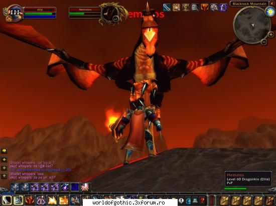 WoW - webster - World Of Warcraft