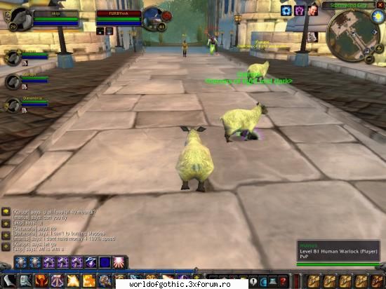 WoW - webster - World Of Warcraft